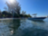 IMG_0842.jpeg