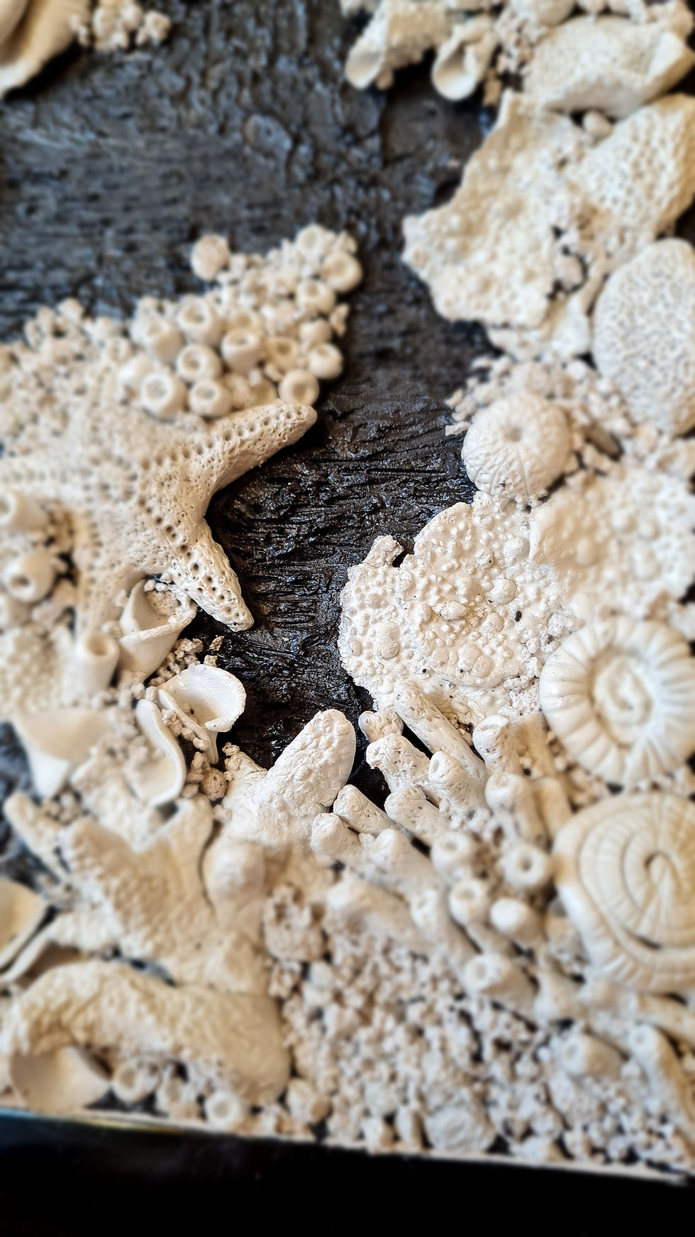 Thumbnail: Black frame and white clay coral reef wall art, ocean theme featuring seashells and corals. Very detailed handmade components
