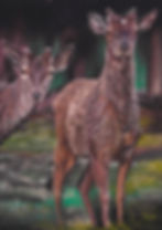 Soft pastel deer portrait in a woodland setting, original Irish wildlife artwork