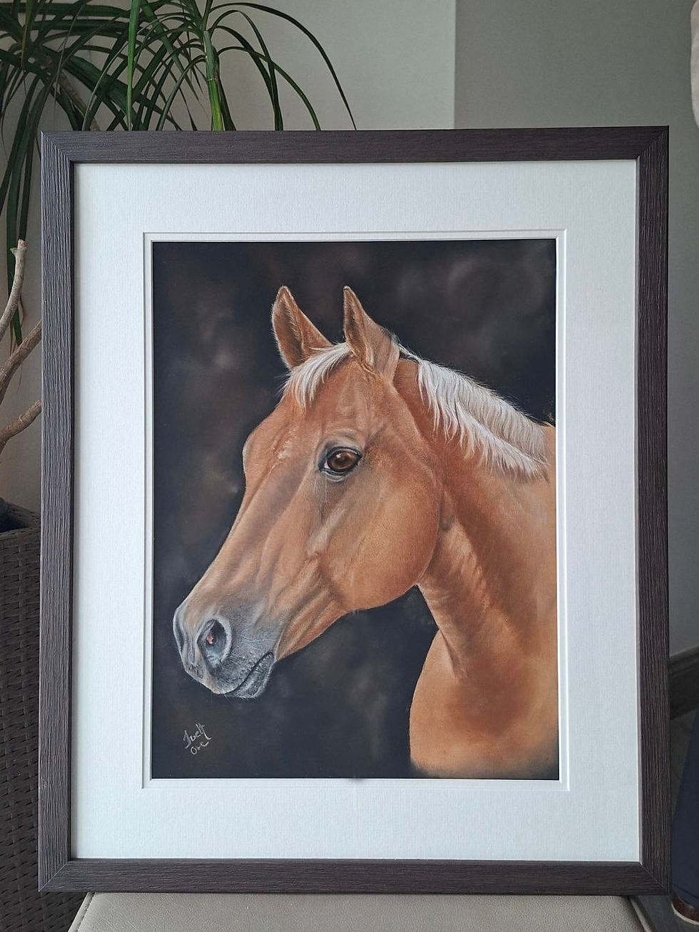 Original pastel equine art palomino horse close-up