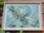 framed mixed media wall art of natural elements in light green pastel color