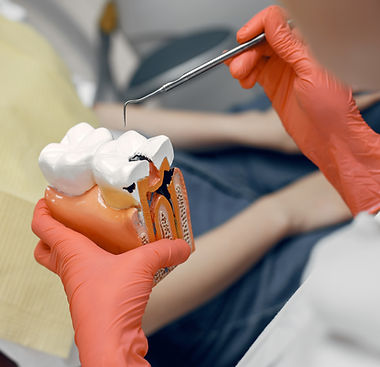 model-tooth-dentist-doctor-shows-patient-tooth-reception-dentist-s-office.jpg