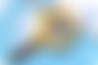 What Is The Beige Book And Why Should You Care?