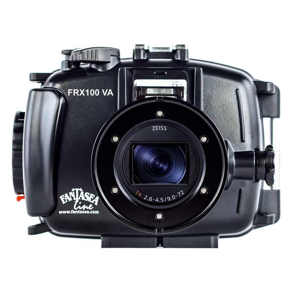Fantasea FRX100 housing