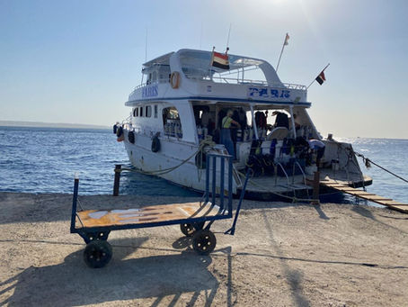 Due immersioni a Hurghada