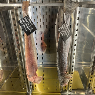 Ristorante Sabbia di Mare Bologna