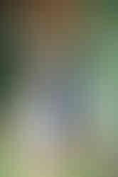 bride and groom pause for a kiss while exiting ceremony at chapel creek wedding and events