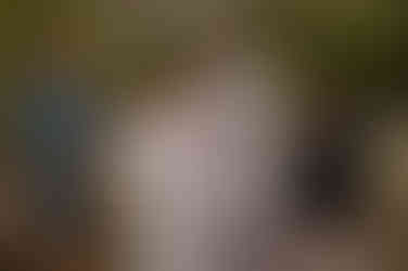 bride reads groom her vows during wedding ceremony at sleeping turtle preserve in venice, florida