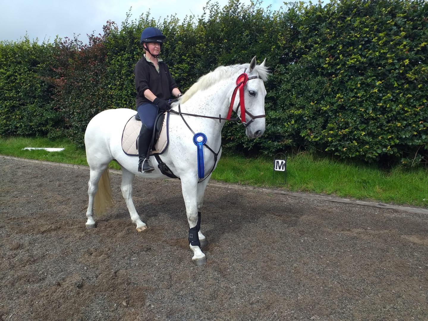 Class Nineteen  - Bitless 