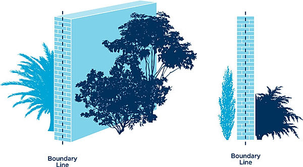 line of junction party wall