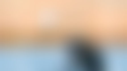 Cartes de pêche 2026 : un an de plaisir en ligne de mire !