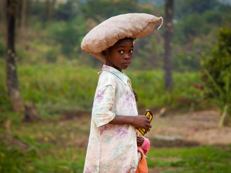 Coronavirus in Africa: What we have done so far