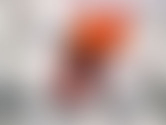 Willkommen im Larven Atelier Charivari