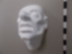 0072 Charakter Larve