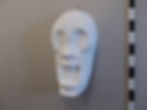 0383 Totenkopf-Larve