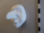 0029 Charakter Larve