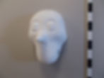 0376 Totenkopf-Larve