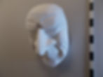 0037 Charakter Larve