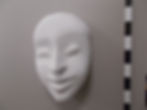 0011 Charakter Larve