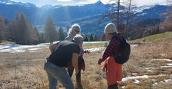 Kleinfuehrung_edited