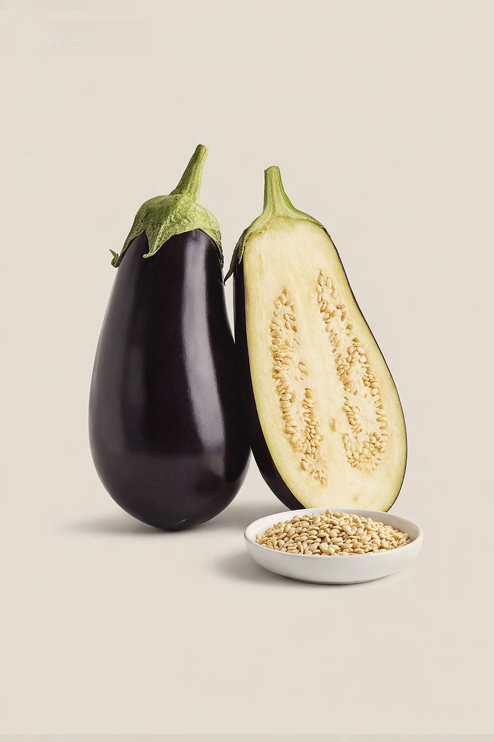 Miniatúra: 1923 BAKLAŽÁN SIRIUS F1