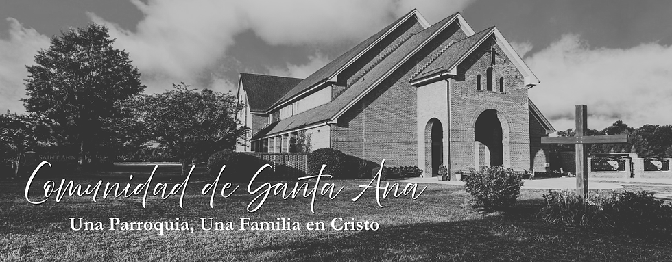 Header - Español