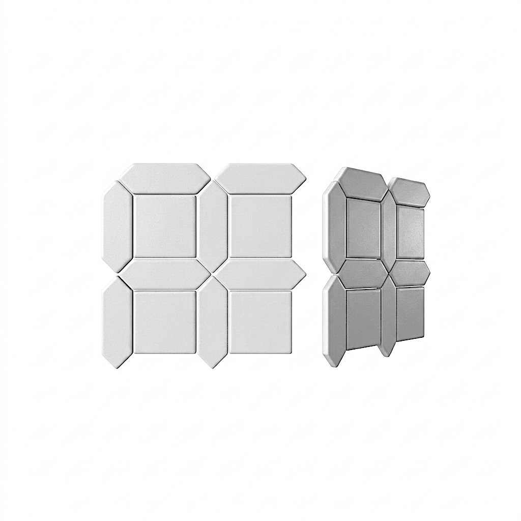 FIORENZA 0017.png