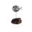 Thumbnail: Puffer Fish