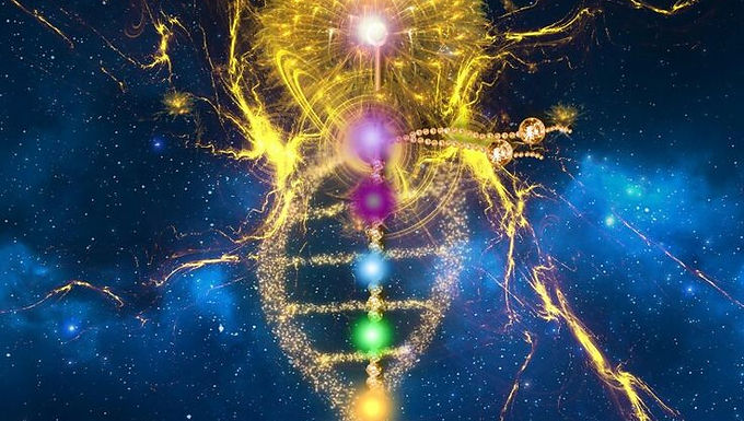 Life Purpose Reading/11th Codon Reading