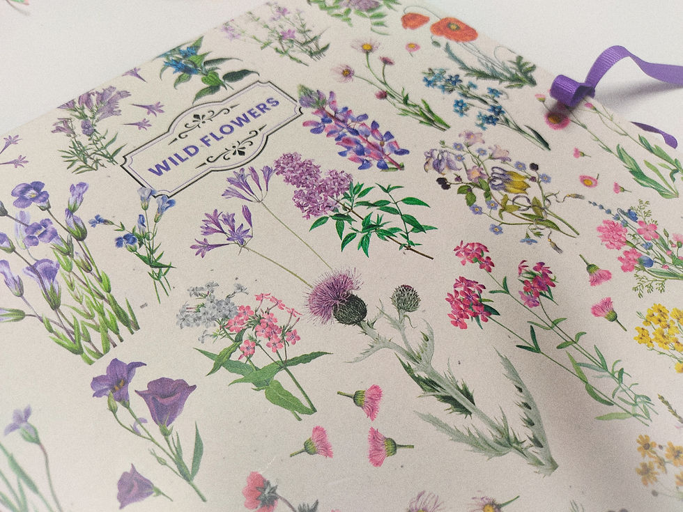 Sanar acompañadas: cómo una consulta de psicología puede convertirse en comunidad