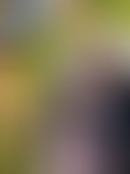 I <DIVE> NJ: 7 Lessons Learned Over 7 Years of Sobriety