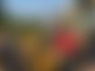 I <Slide> NJ: My Top 5 Dad Tips for Avoiding Viral Infamy