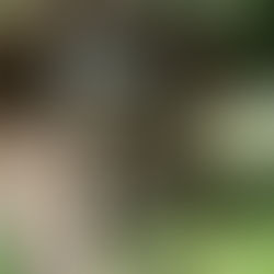 5/18土曜サイクリング