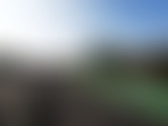 GB3: Abbi Pulling battles for the podium, scores top five finishes in Monza, as Bustamante runs solid second race