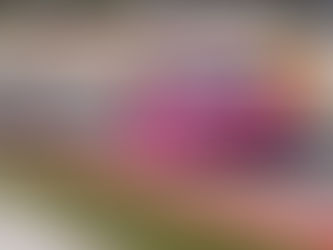 Sarah Bovy opens ELMS campaign with pole position for Iron Dames