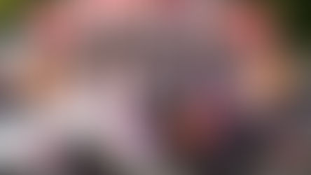 AE Victory Racing claims breakthrough WRL first overall victory and 1-2 at Thunderhill