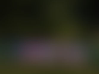 IMPC: Taylor Hagler charges to second top-5 finish of the season