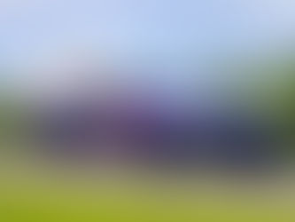 Chloe Chambers impresses in debut IMSA Mustang Challenge races at Mid-Ohio