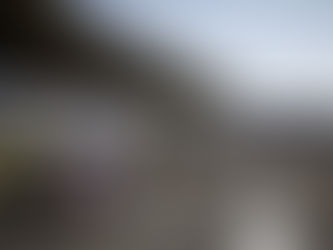 Feature: The series that will revolutionize motorsport