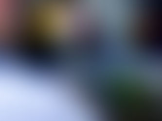 Laura Camps returns to Indian Racing League