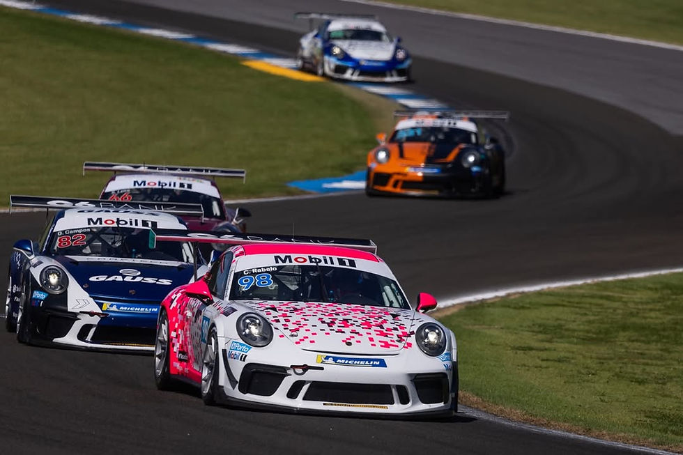 Photo credits: Fernanda Freixosa