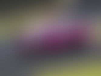 FIA WEC: Iron Dames score top five at 6H of Fuji