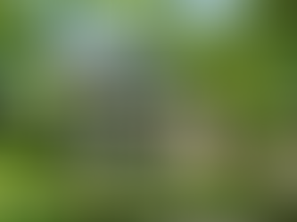 Cry, Scream, and... Dance?