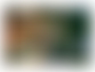 1,500 Words Per Day, EVERY Day = Six Books Per Year