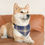 Thumbnail: Blue Plaid Pattern - Pet Bandana Collar 