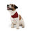 Thumbnail: Red & Black Plaid Pattern - Pet Bandana Collar 