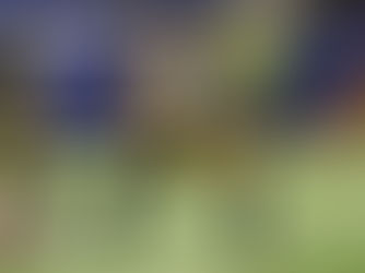 Top Offensive Linemen the Houston Texans Should Target in Free Agency