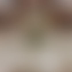 sage green tablecloth rental