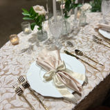champagne texture linen