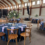 polyester midnight navy with lamour lilac napkins